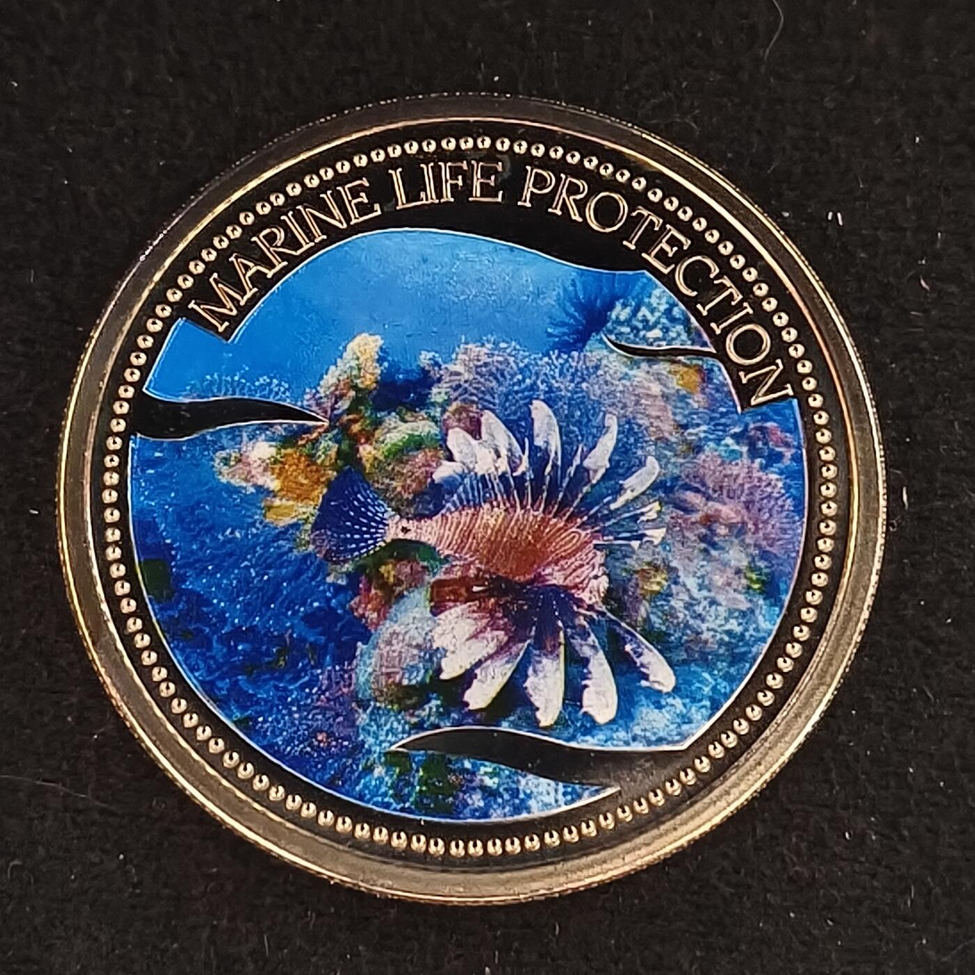 0起1加再包邮-纯粹捡漏拍-429散币银币场