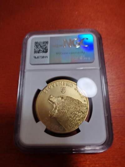 长老汇蛇年精选第十二场拍卖 2023斯洛伐克灰熊5欧元黄铜币，NGC MS69，亚军分，更高1枚