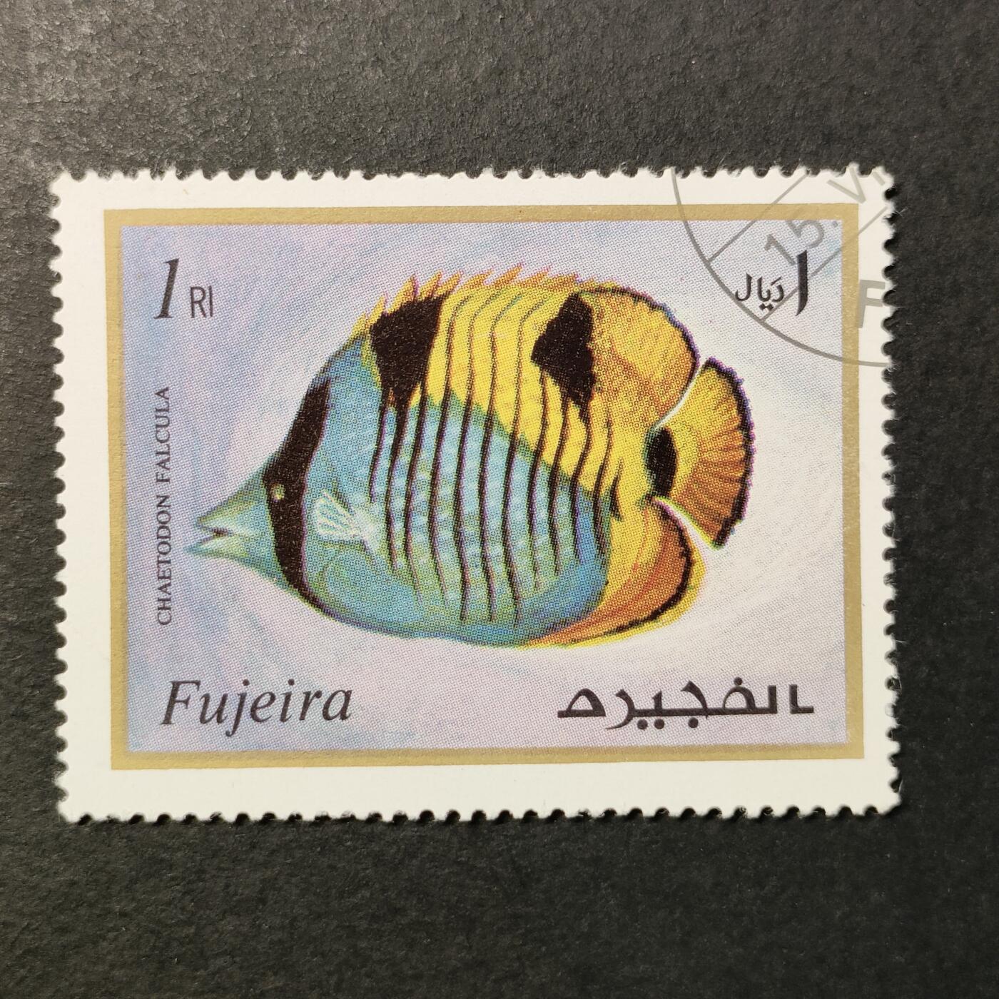 First