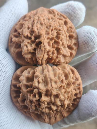 ❤️53麒麟纹大官帽核桃(39024) 尺寸53*53.5肚46*46高45.5*45.5mm ❤️53麒麟纹大官帽核桃(39024) 尺寸53*53.5肚46*46高45.5*45.5mm