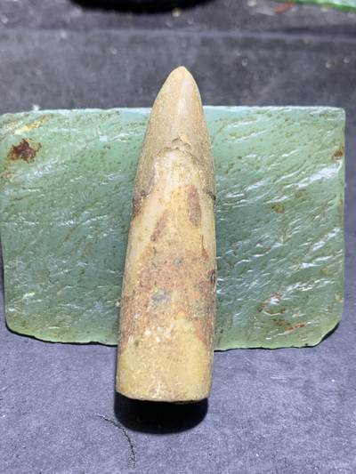 精美大尺寸天然箭石震笔石震旦角石喇叭角石古生物化石原石一颗， - 精美大尺寸天然箭石震笔石震旦角石喇叭角石古生物化石原石一颗，