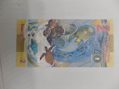 便宜货来了 东加勒比塑料钞