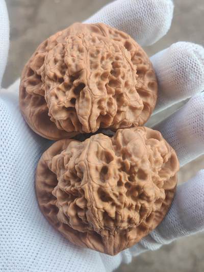 ❤️53麒麟纹大官帽核桃(39024) 尺寸53*53.5肚46*46高45.5*45.5mm ❤️53麒麟纹大官帽核桃(39024) 尺寸53*53.5肚46*46高45.5*45.5mm