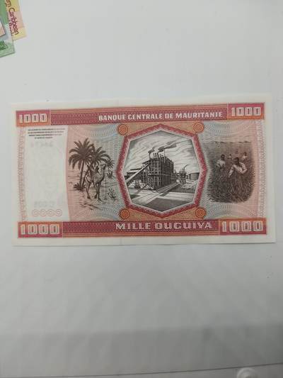 便宜货来了  全新毛里塔尼亚1000乌吉亚纸币 