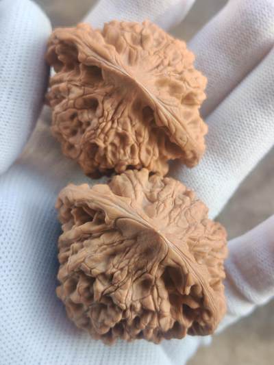 ❤️53麒麟纹大官帽核桃(39024) 尺寸53*53.5肚46*46高45.5*45.5mm ❤️53麒麟纹大官帽核桃(39024) 尺寸53*53.5肚46*46高45.5*45.5mm