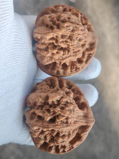 ❤️53麒麟纹大官帽核桃(39024) 尺寸53*53.5肚46*46高45.5*45.5mm ❤️53麒麟纹大官帽核桃(39024) 尺寸53*53.5肚46*46高45.5*45.5mm