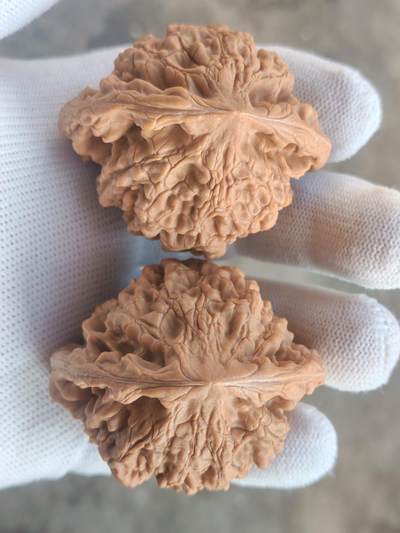 ❤️53麒麟纹大官帽核桃(39024) 尺寸53*53.5肚46*46高45.5*45.5mm ❤️53麒麟纹大官帽核桃(39024) 尺寸53*53.5肚46*46高45.5*45.5mm