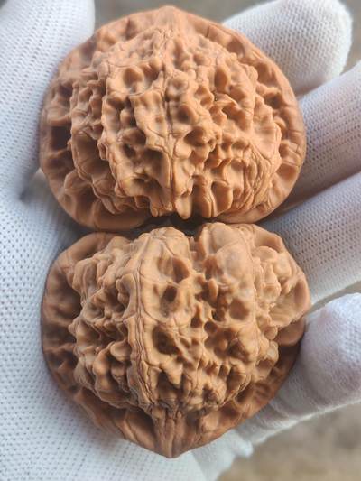 ❤️53麒麟纹大官帽核桃(39024) 尺寸53*53.5肚46*46高45.5*45.5mm ❤️53麒麟纹大官帽核桃(39024) 尺寸53*53.5肚46*46高45.5*45.5mm