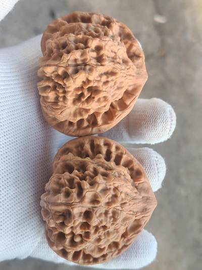 ❤️53麒麟纹大官帽核桃(39024) 尺寸53*53.5肚46*46高45.5*45.5mm ❤️53麒麟纹大官帽核桃(39024) 尺寸53*53.5肚46*46高45.5*45.5mm