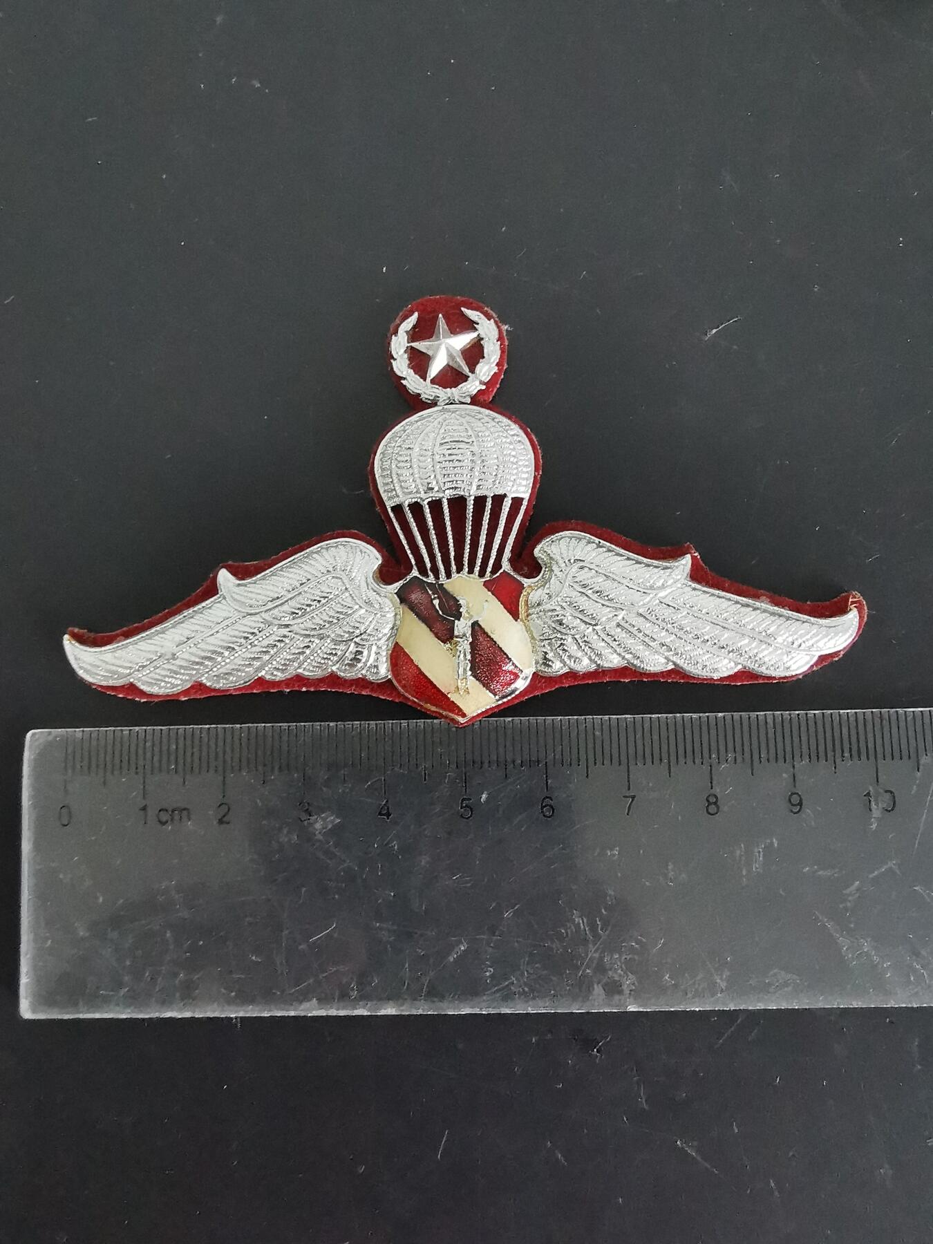 老王徽章第121期