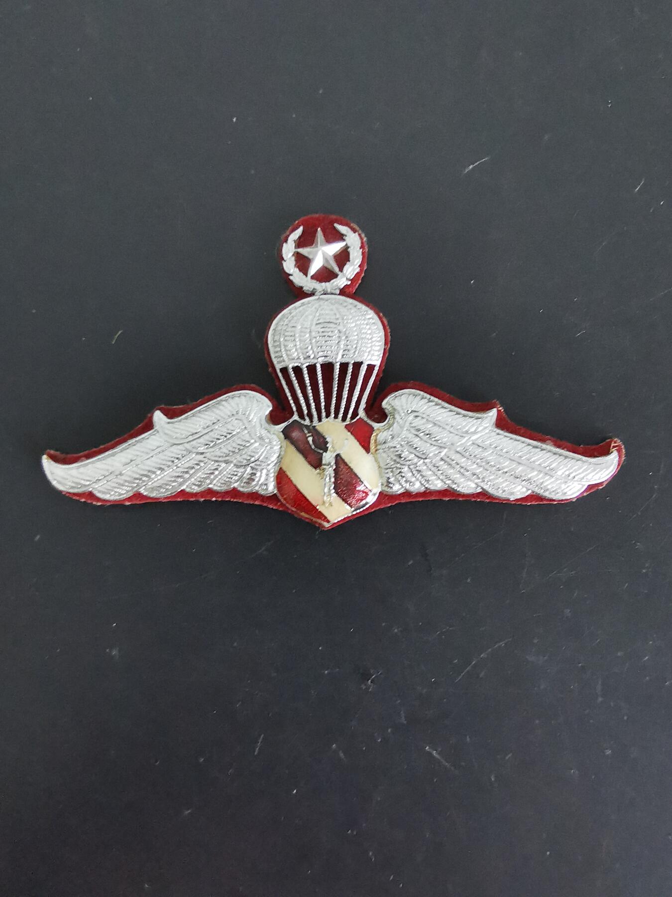 老王徽章第121期