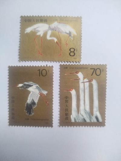 邮票专场 1986年 白鹤一套。