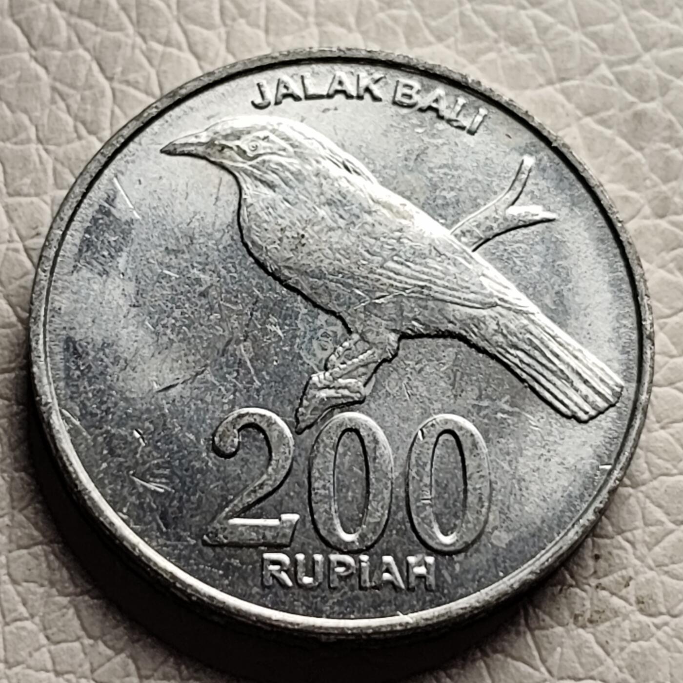 泉币菌-第28场-中外散币乐园 原光美品 2003年印度尼西亚200卢比画眉鸟 铝币25mm 