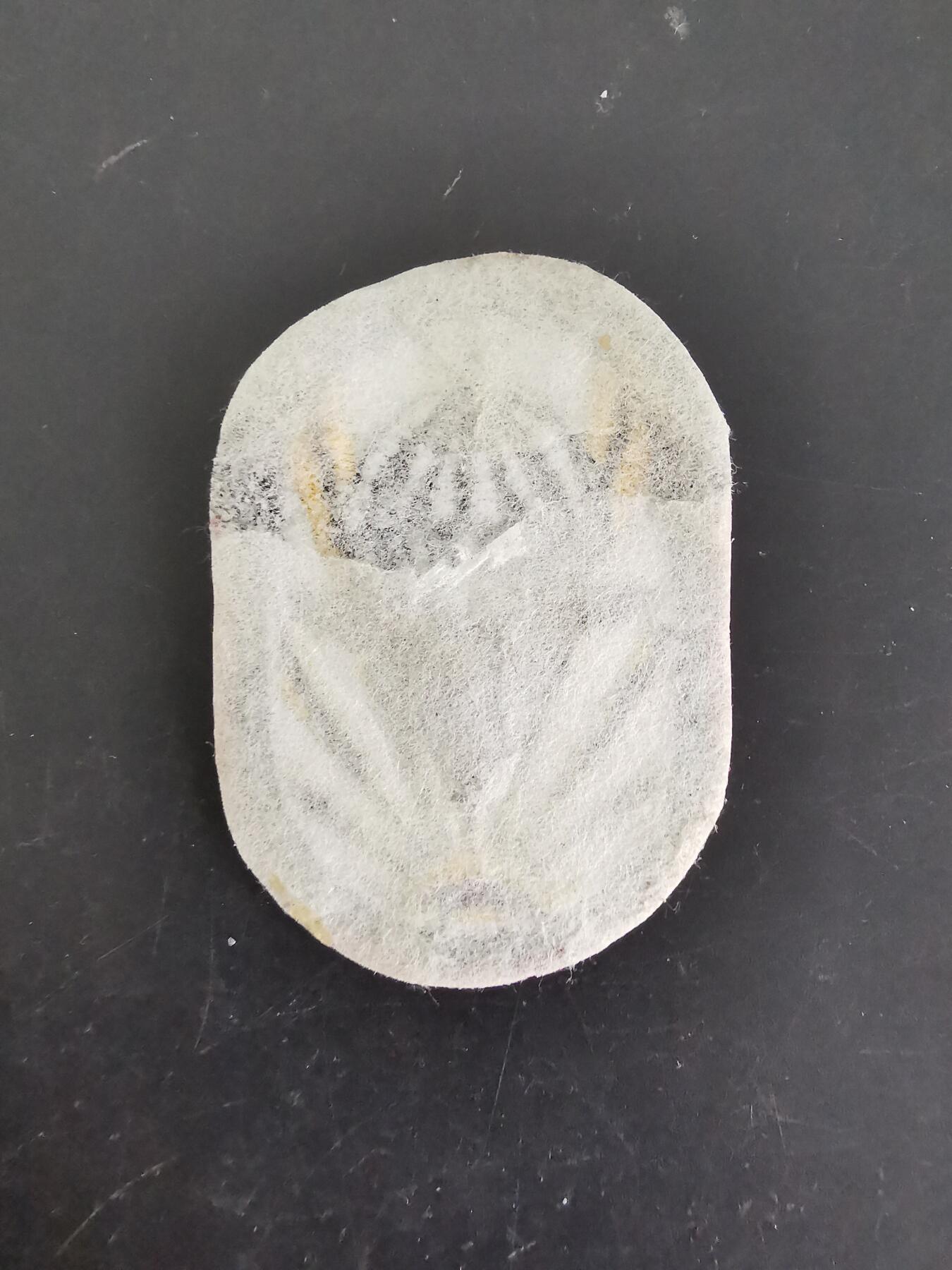 老王徽章第121期