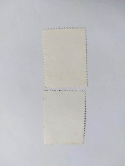 邮票专场 1981年 中国女排获第三届世界杯冠军纪念邮票一套。