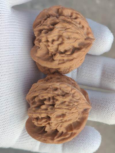 ❤️天然帝王狮子头三棱(30128) ❤️天然帝王狮子头三棱(30128)