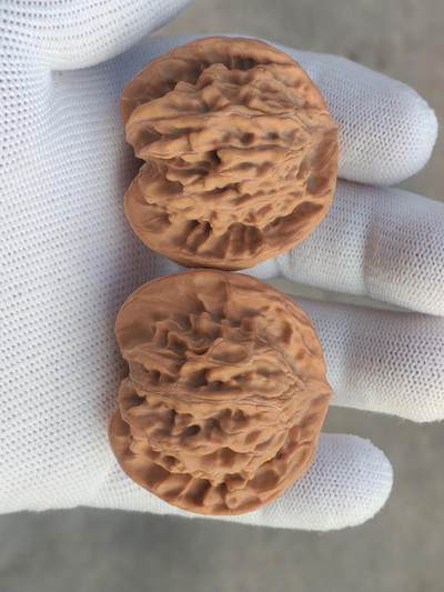 ❤️天然帝王狮子头三棱(30128) ❤️天然帝王狮子头三棱(30128)