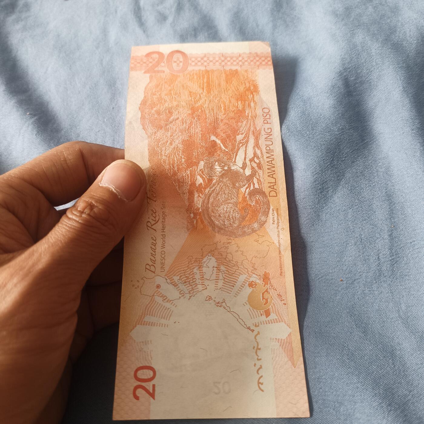 泡泡币外币第三十八场可代拍15038385335微信 菲律宾20皮