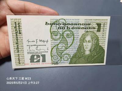 20250523外国纸币专场 -  爱尔兰1镑纸币 1984年版 经典《牛皮书》新品