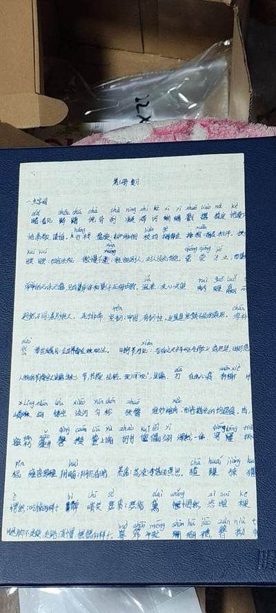票证拍场    都是整版或者联票 河北省布票   面值  伍市尺    1984年发行   20联