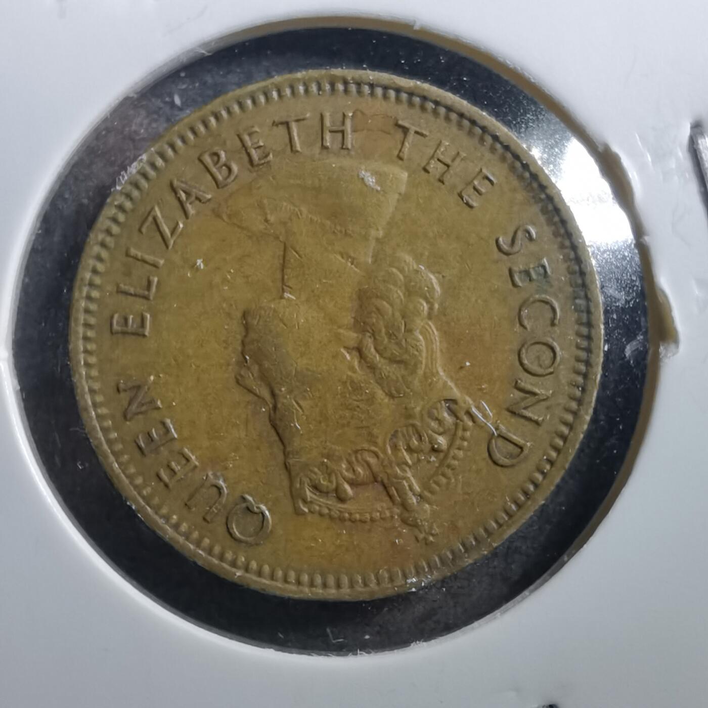 沼泽如烟--第725场