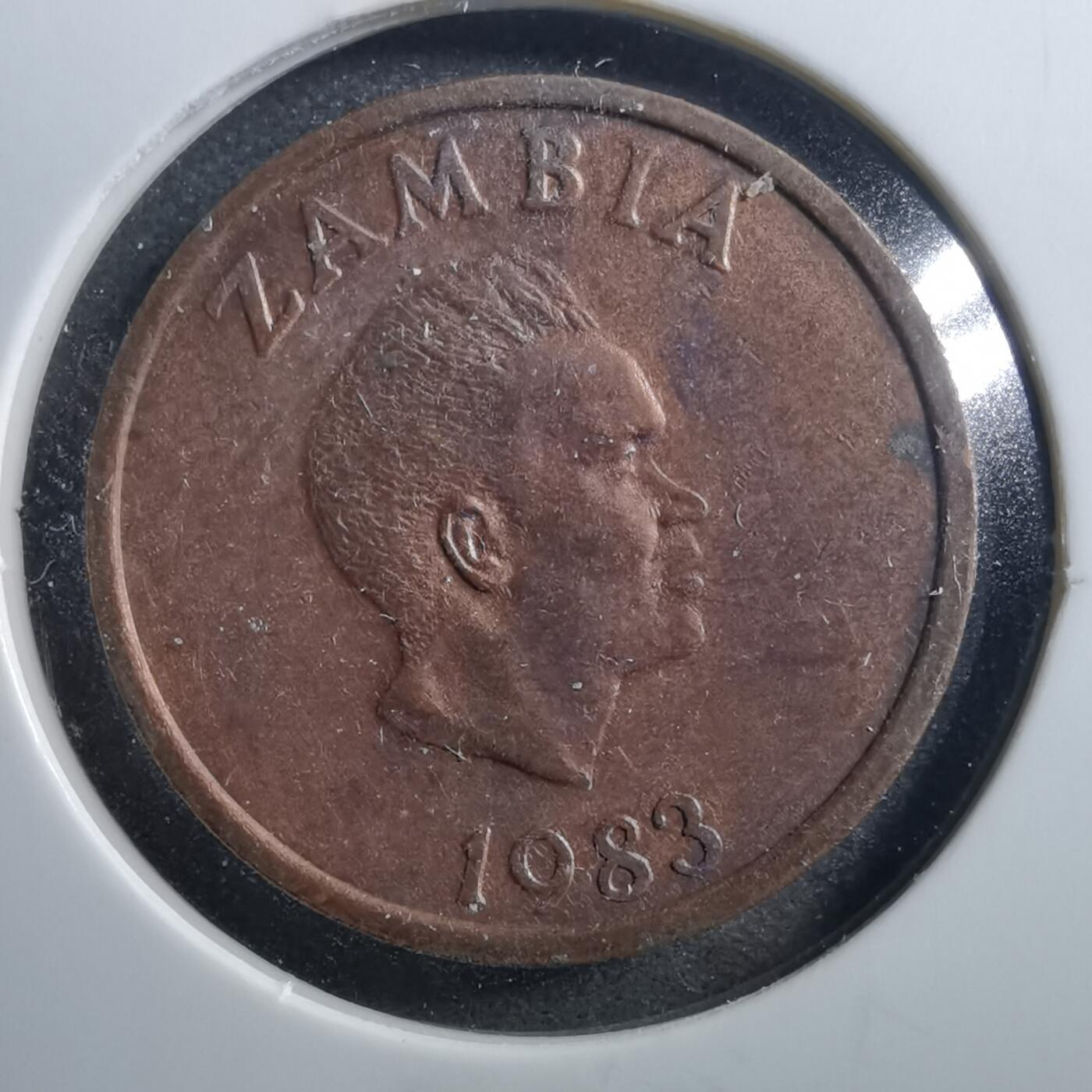 沼泽如烟--第725场