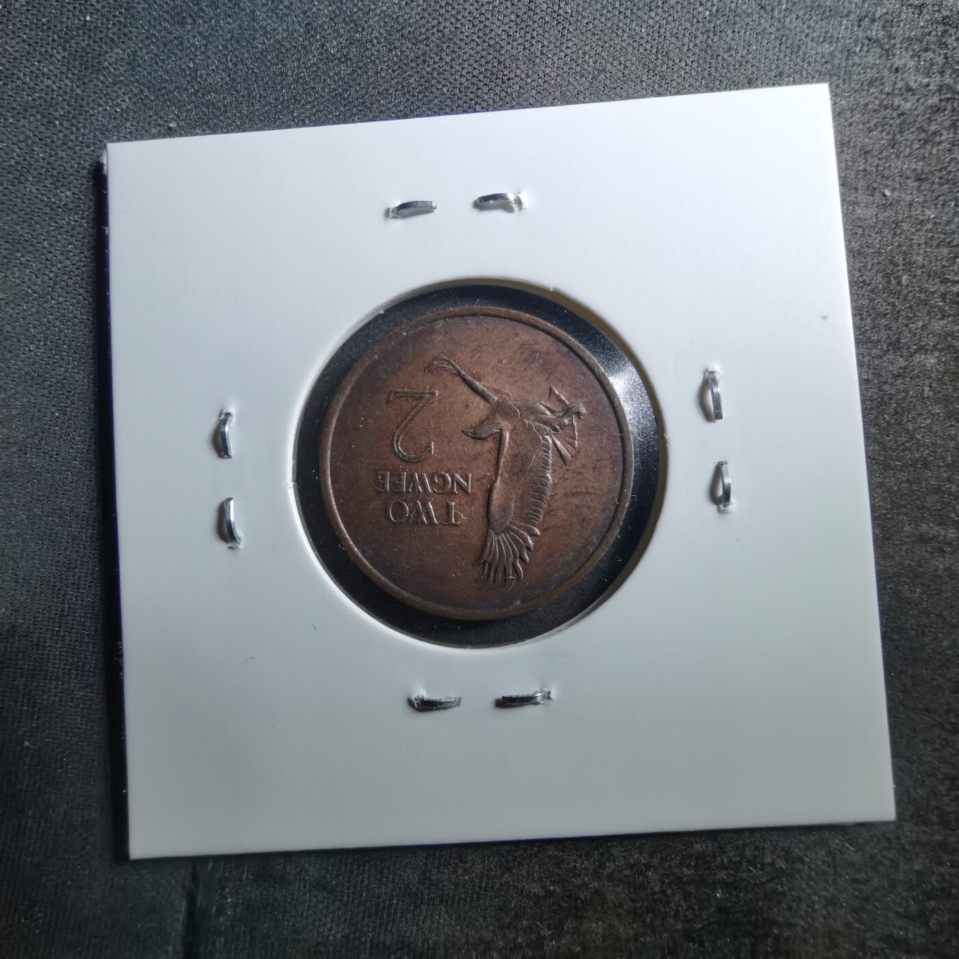 沼泽如烟--第725场