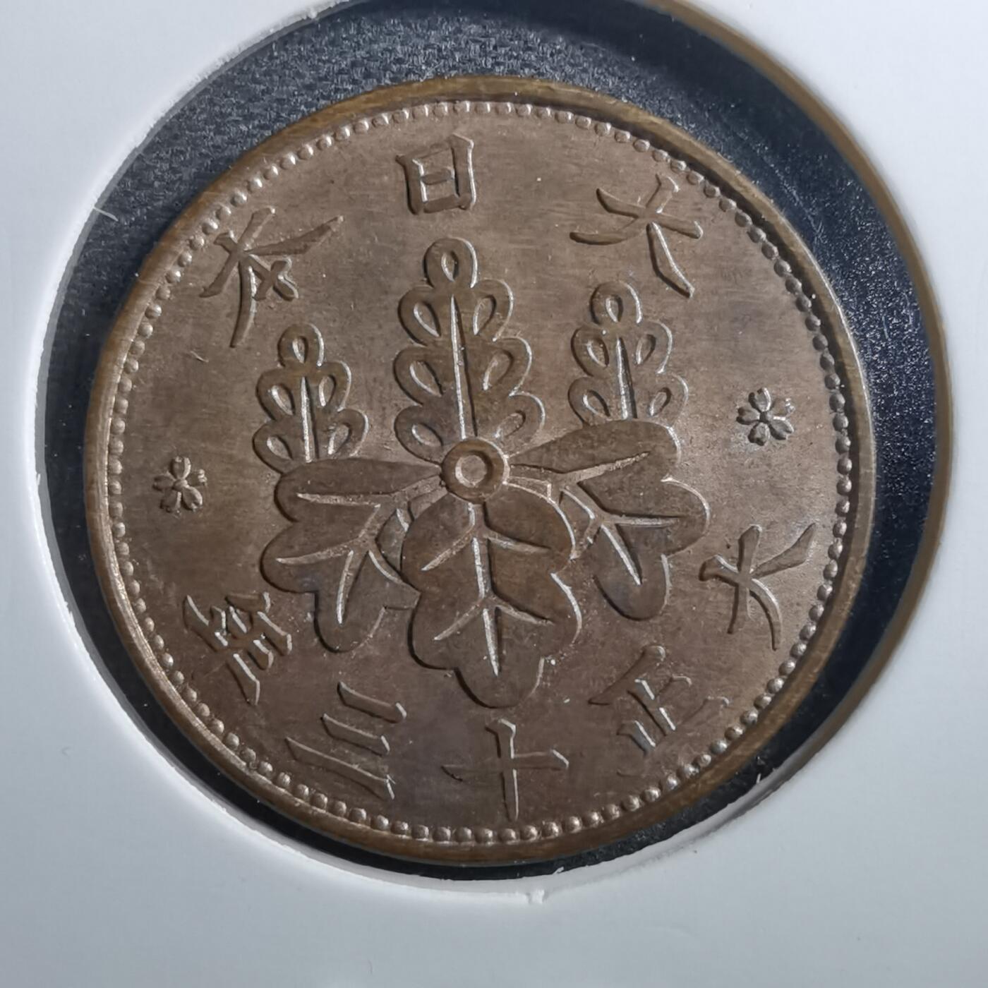 沼泽如烟--第725场