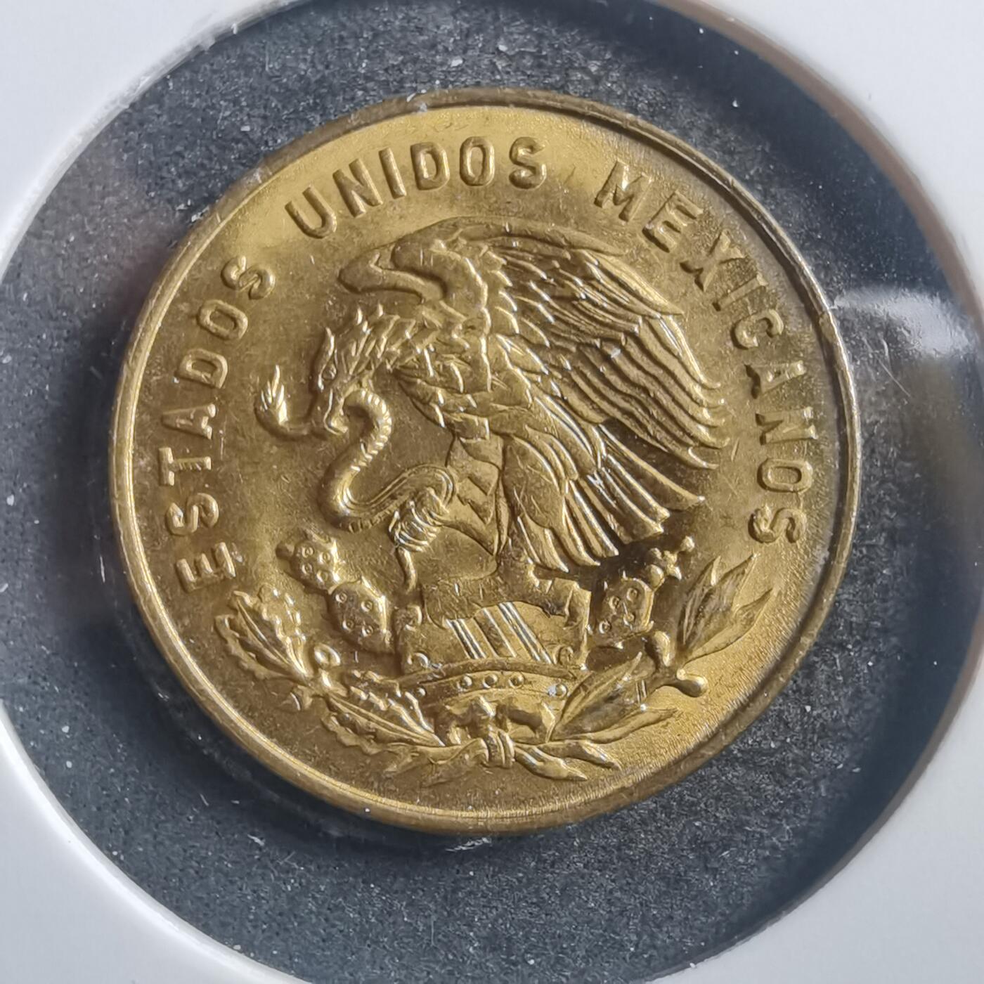 沼泽如烟--第726场