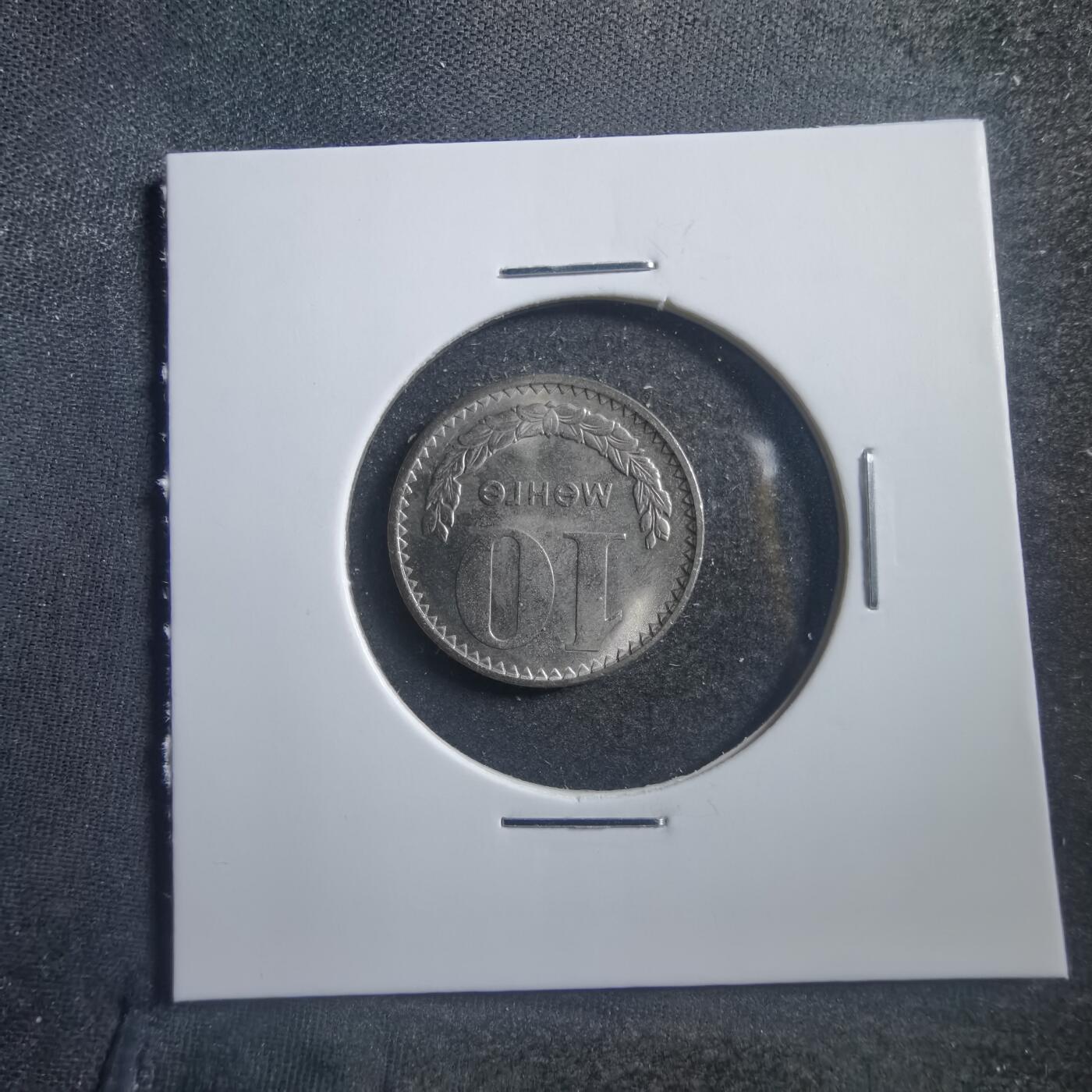 沼泽如烟--第726场