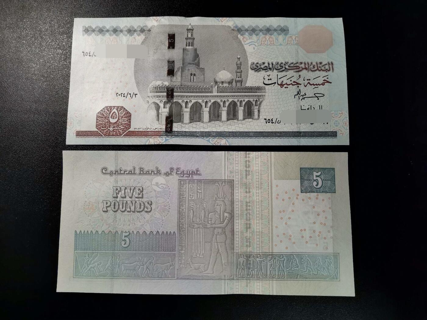 精美卫国战争胜利系列纪念钞币以及世界各国钱币专场 精美埃及5埃及镑纸币  一张  号码随机