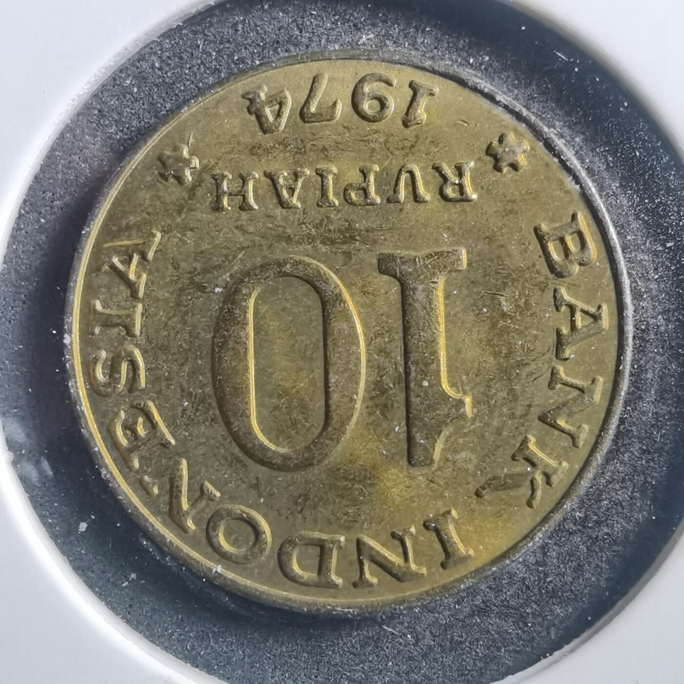 沼泽如烟--第726场