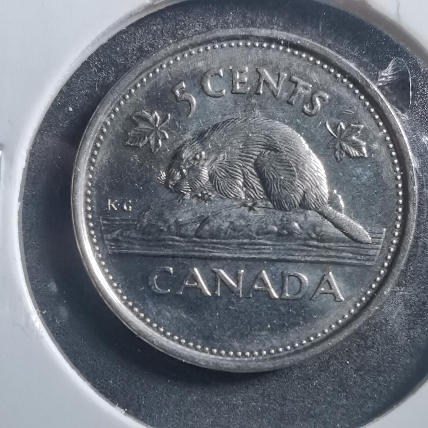 沼泽如烟--第726场