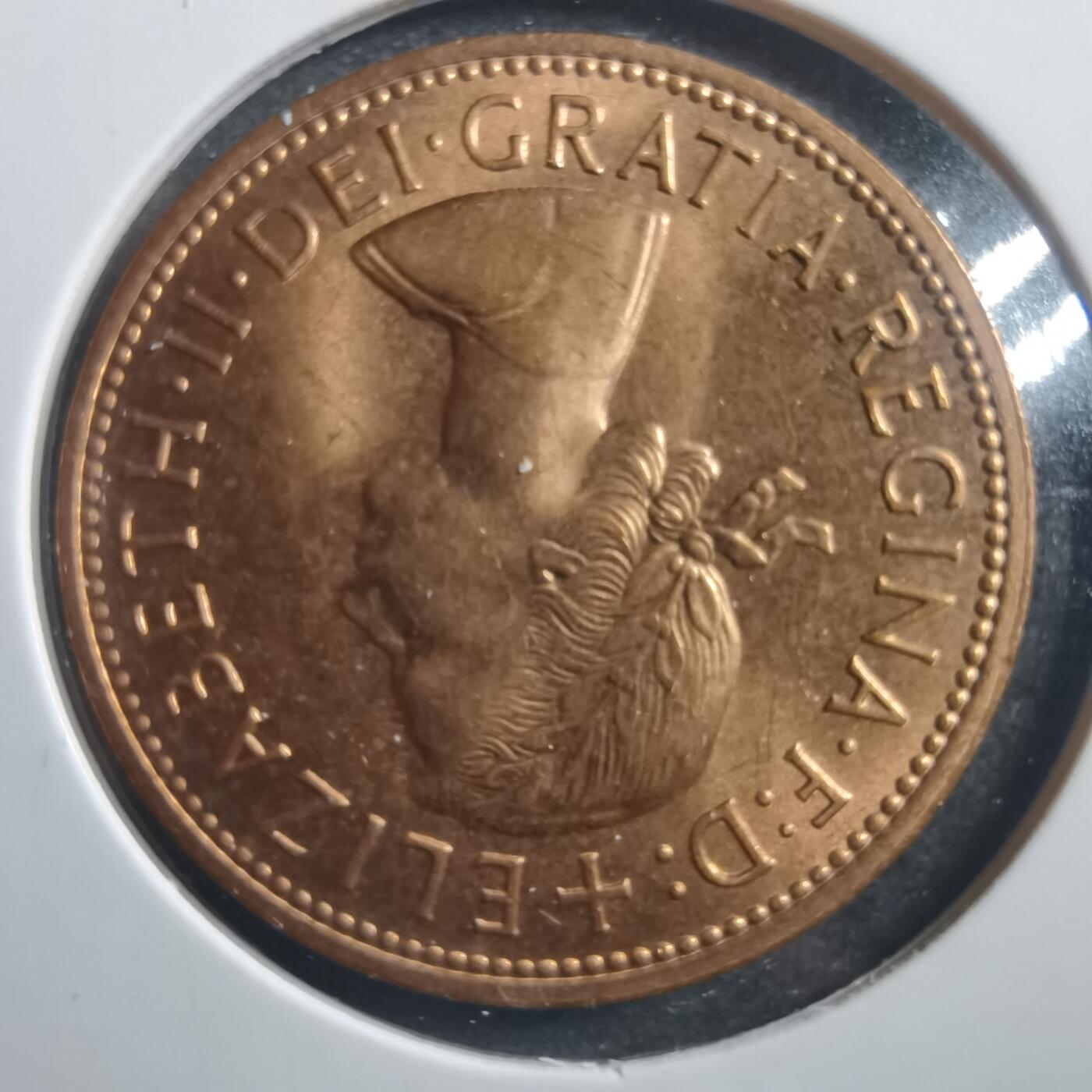 沼泽如烟--第726场