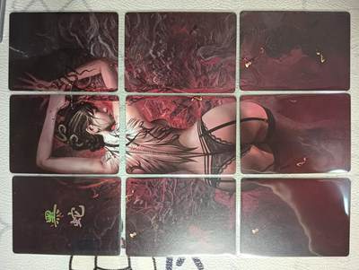 花开卡拍第40期（9月28号周日截拍，品控勿拍!!!拍品不寄存，运费5元，自制卡难免瑕疵，可能存在轻微撞角爆边等出厂瑕疵，品控介意勿拍！） - 燎原 焱卡文化 第二十四弹 黑蛇 九拼