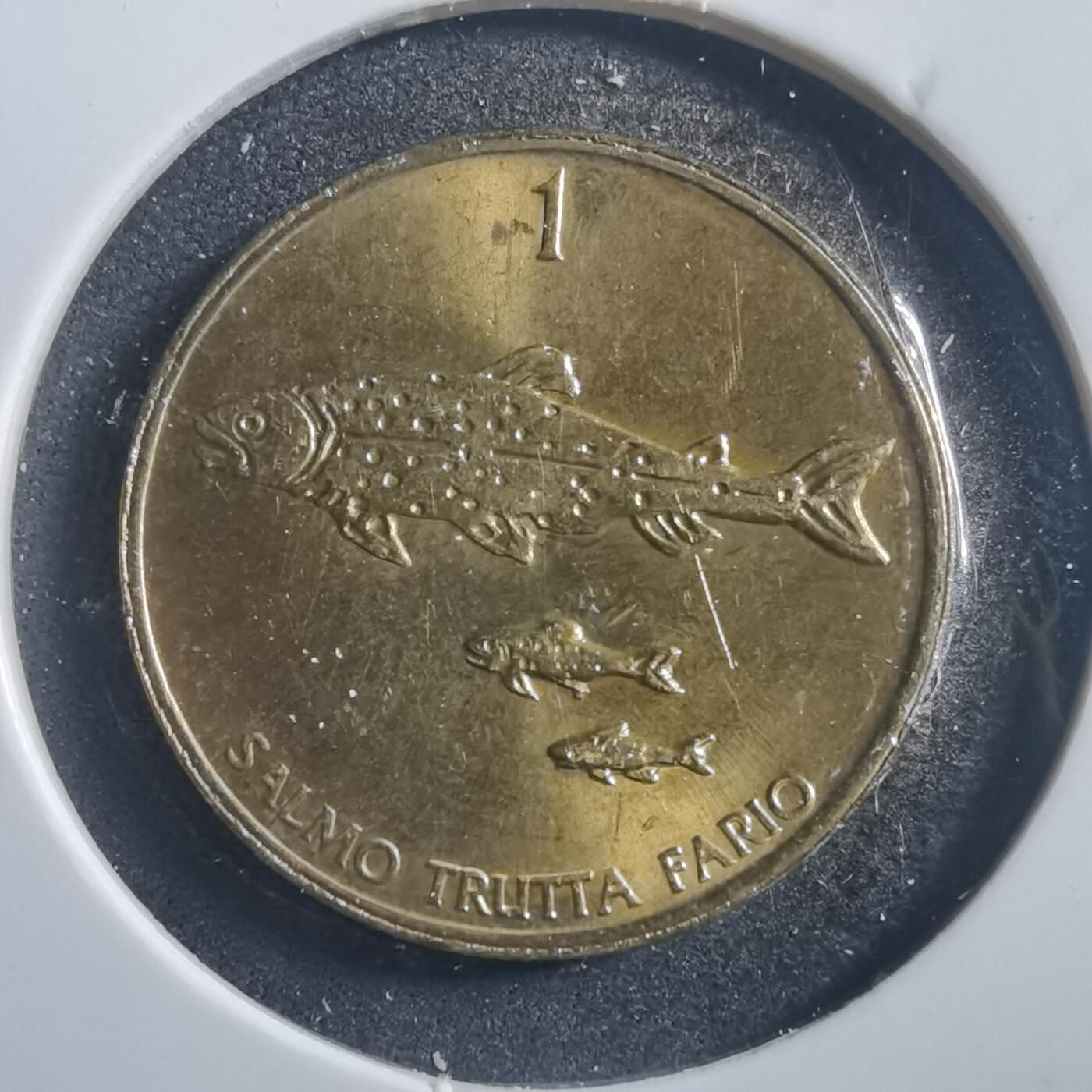 沼泽如烟--第726场