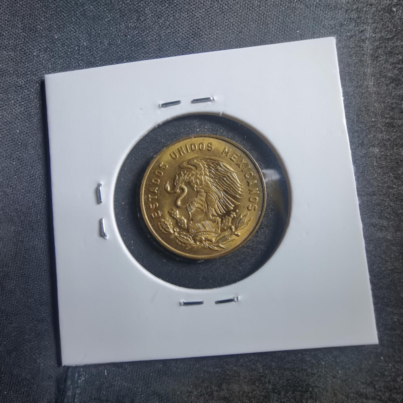 沼泽如烟--第726场