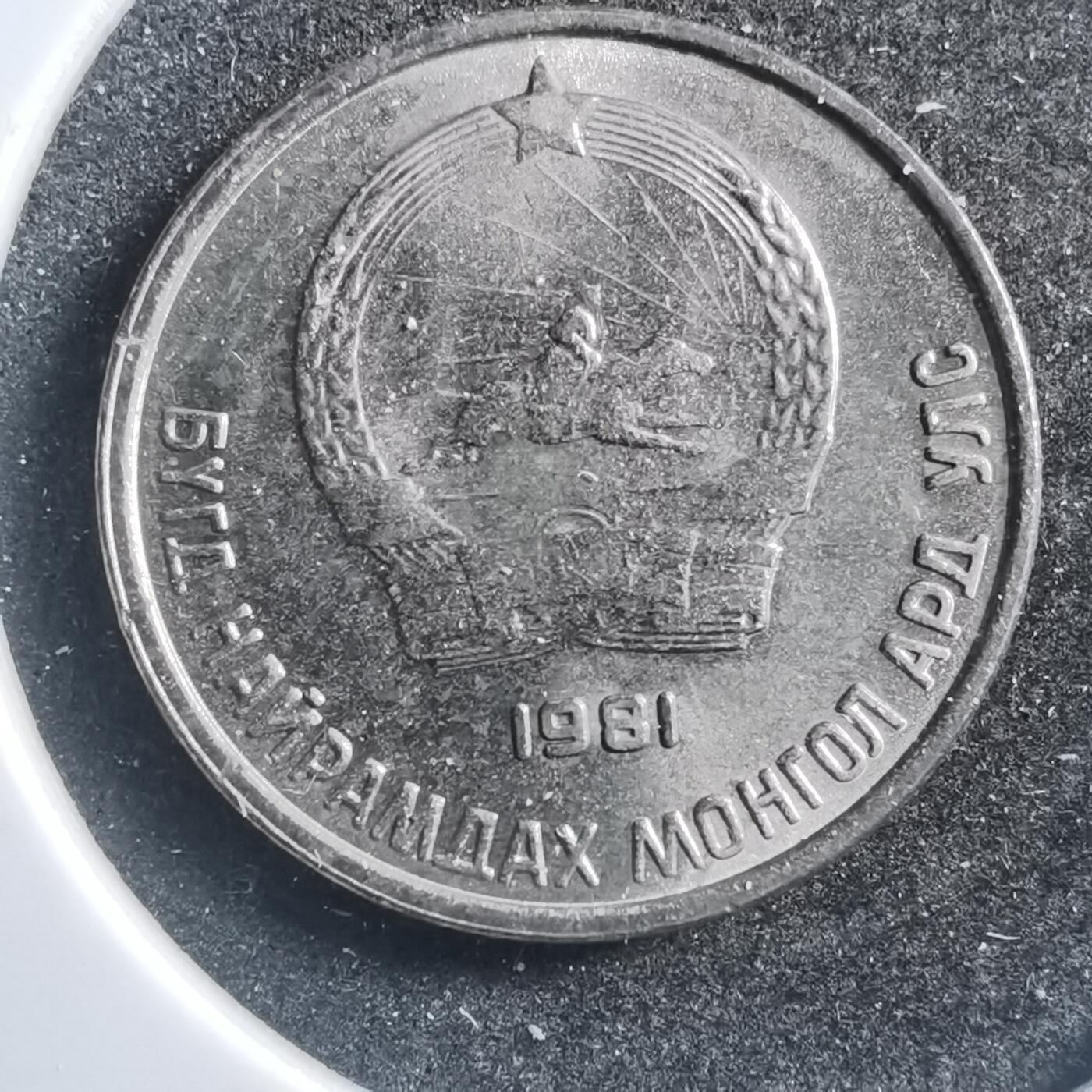 沼泽如烟--第726场