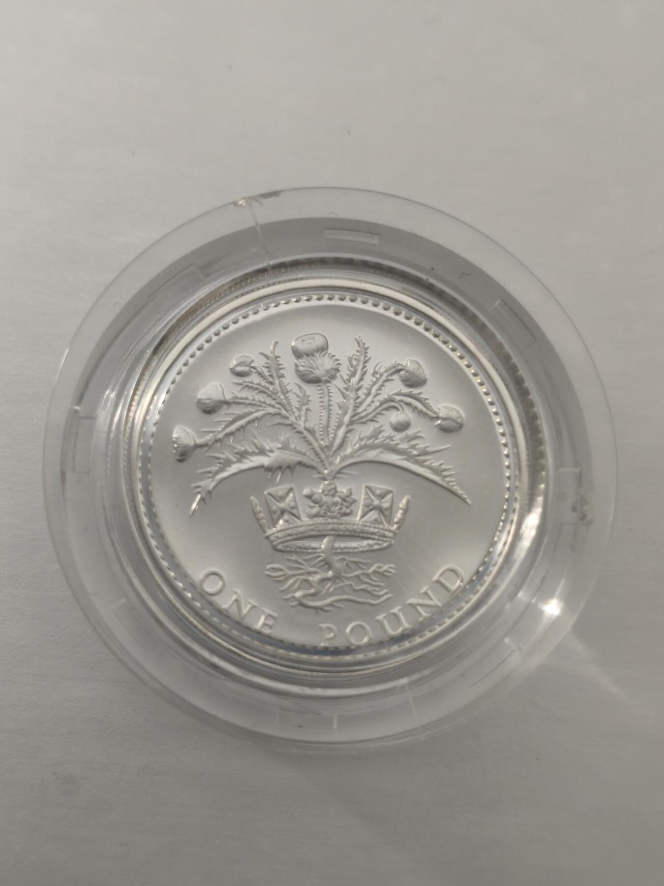 Krab外币市集Vol.10 英国1984年1镑银币