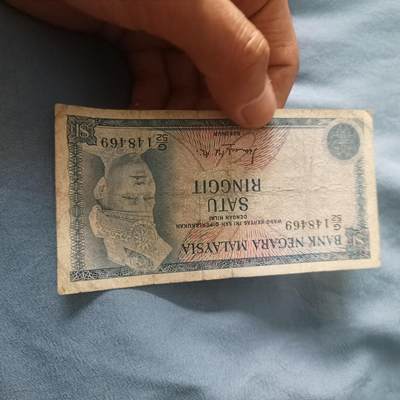 泡泡币外币第三十九场可代拍15038385335微信 - 马来一刀