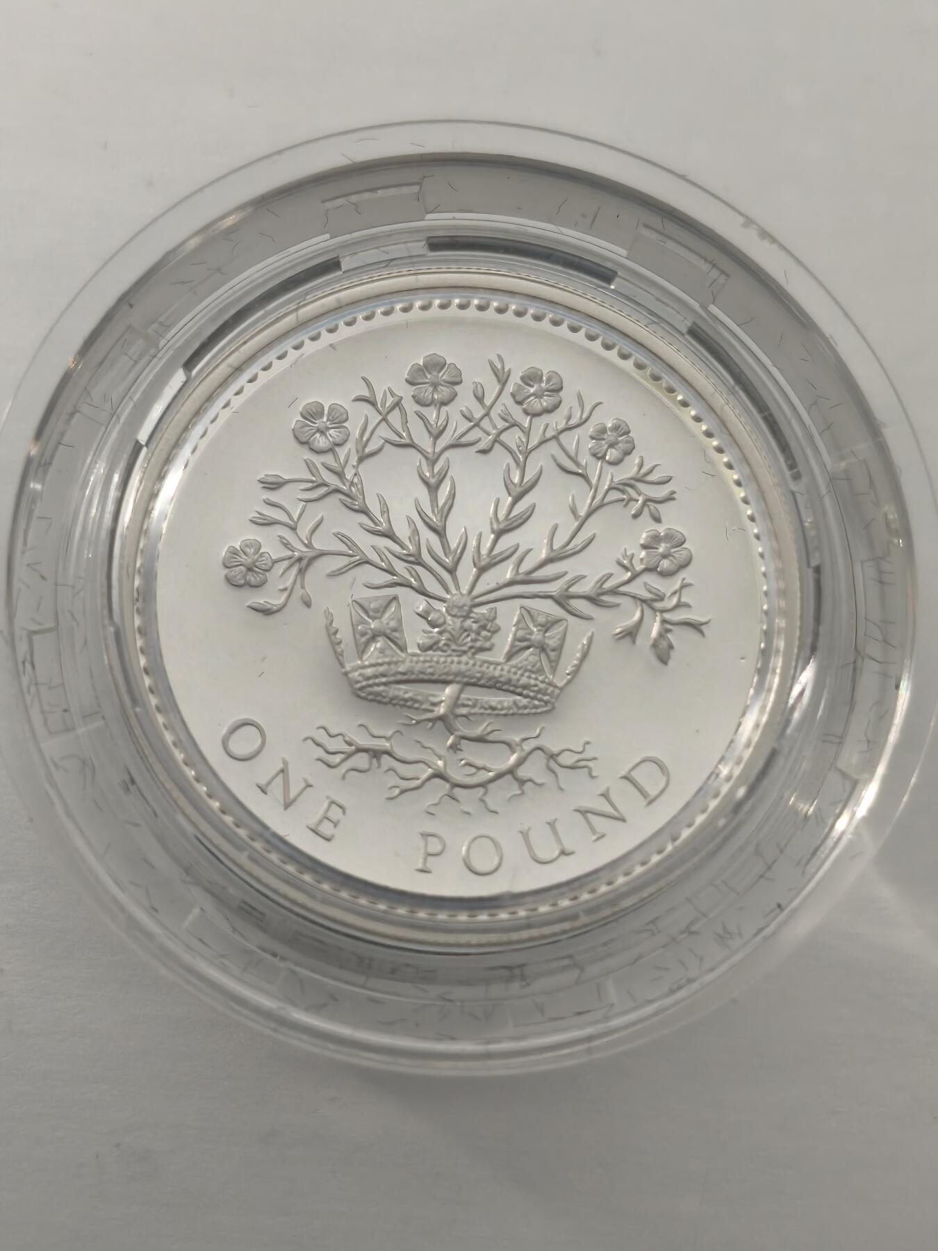 Krab外币市集Vol.10 英国1991年1镑银币