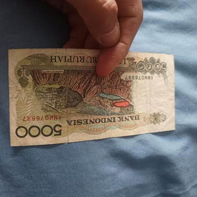 泡泡币外币第三十九场可代拍15038385335微信 - 印尼5000
