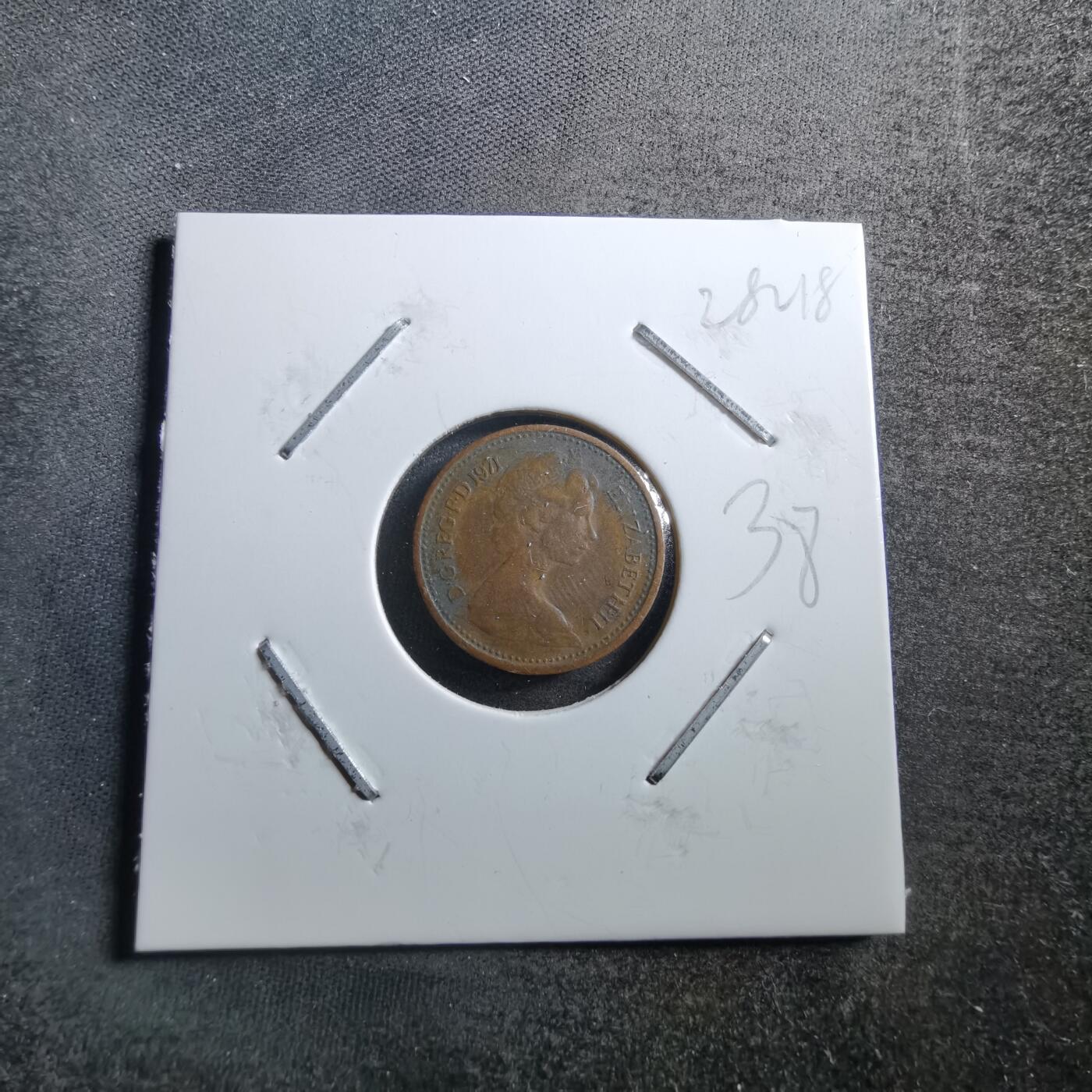 沼泽如烟--第728场