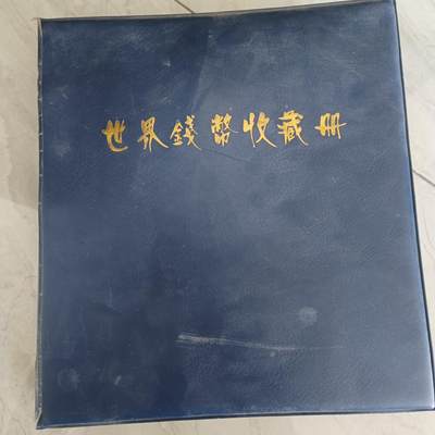 泡泡币外币第四十场最全阿根廷专场可代拍15038385335微信 - 硬币活页册无破，活页19张，带部分纸夹