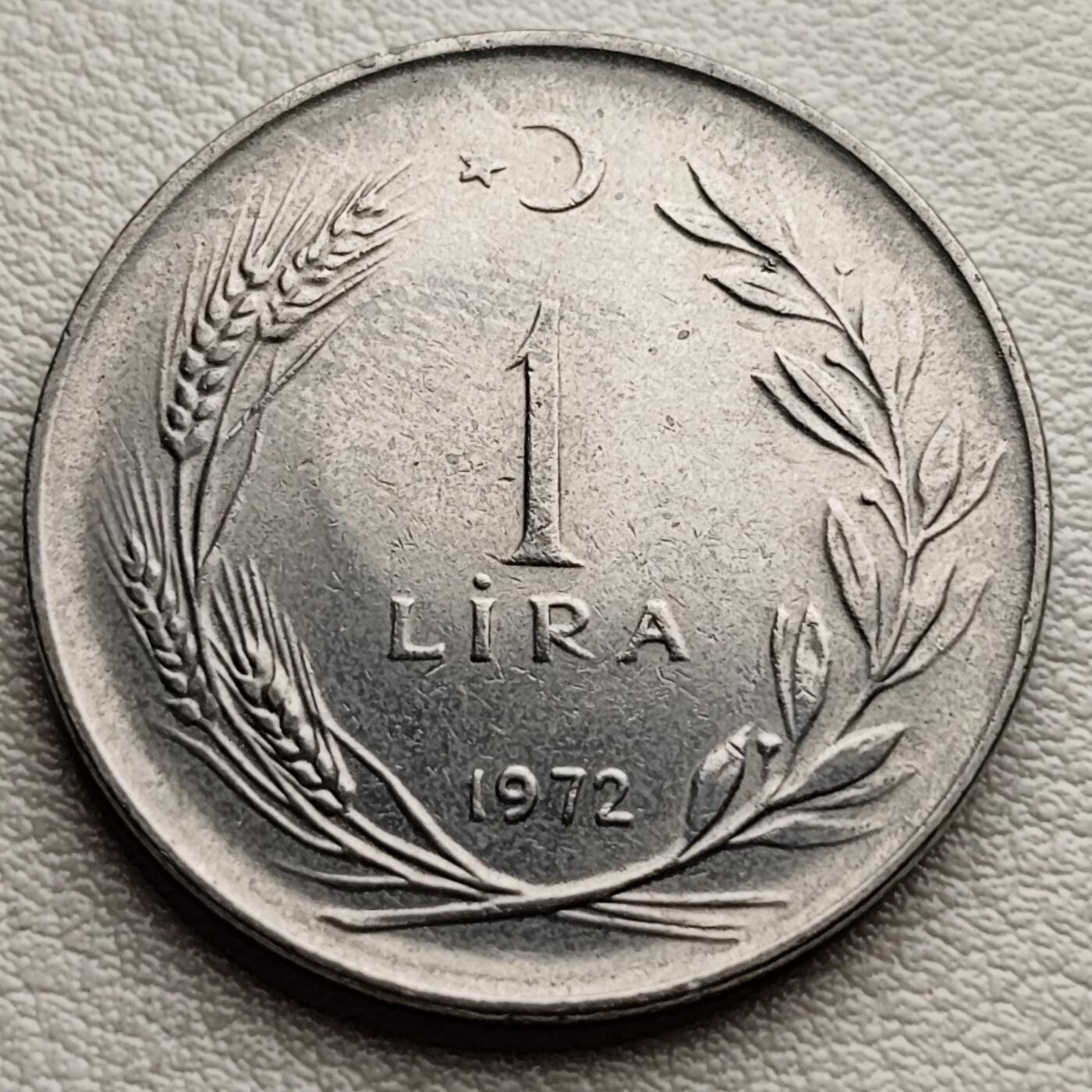 泉币菌-第31场-中外散币乐园 土耳其1里拉1972年钢币 27mm