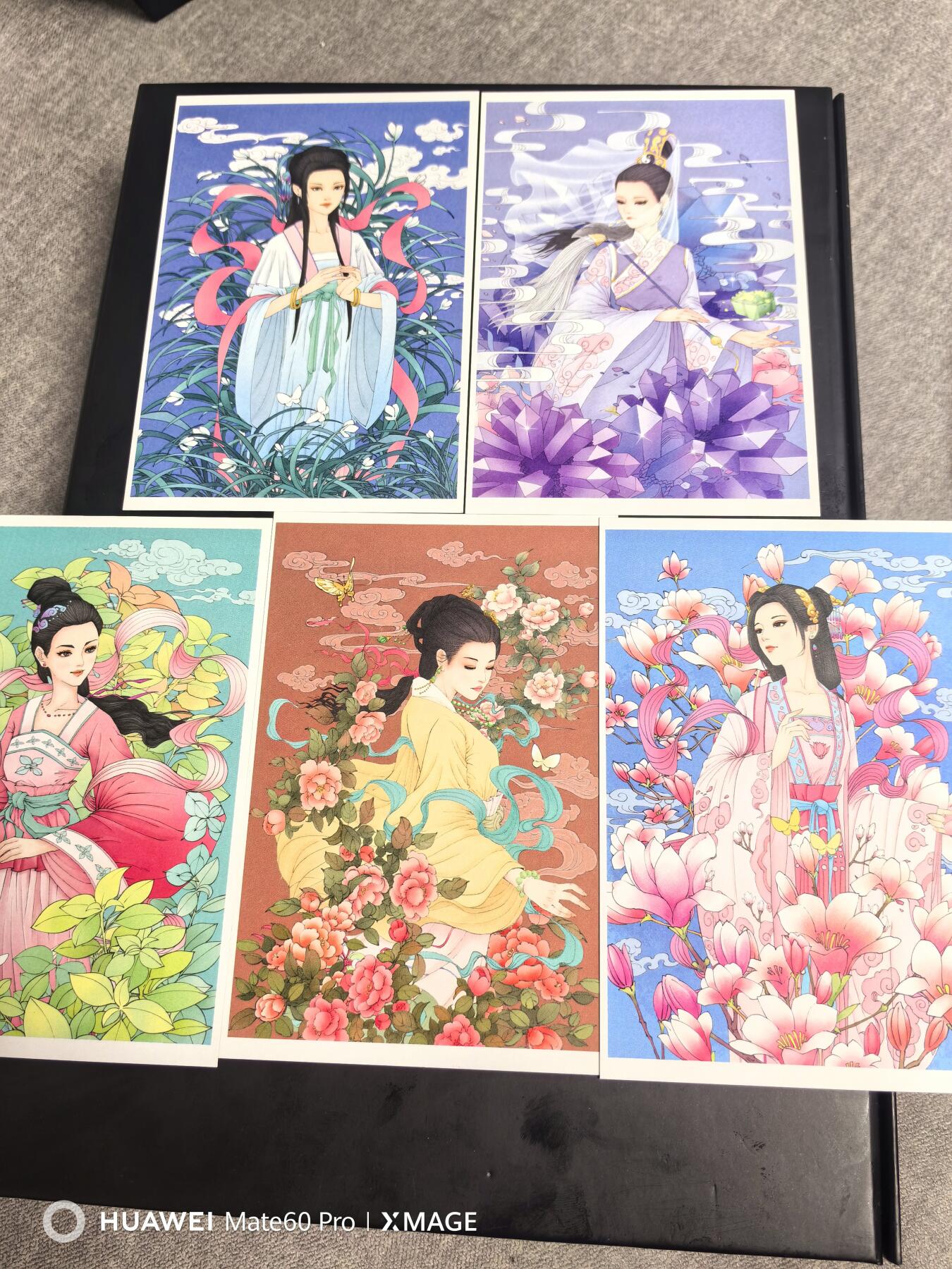 卡牌限时020期活动专场 （全新）小花瓣-药香1-明信片5张