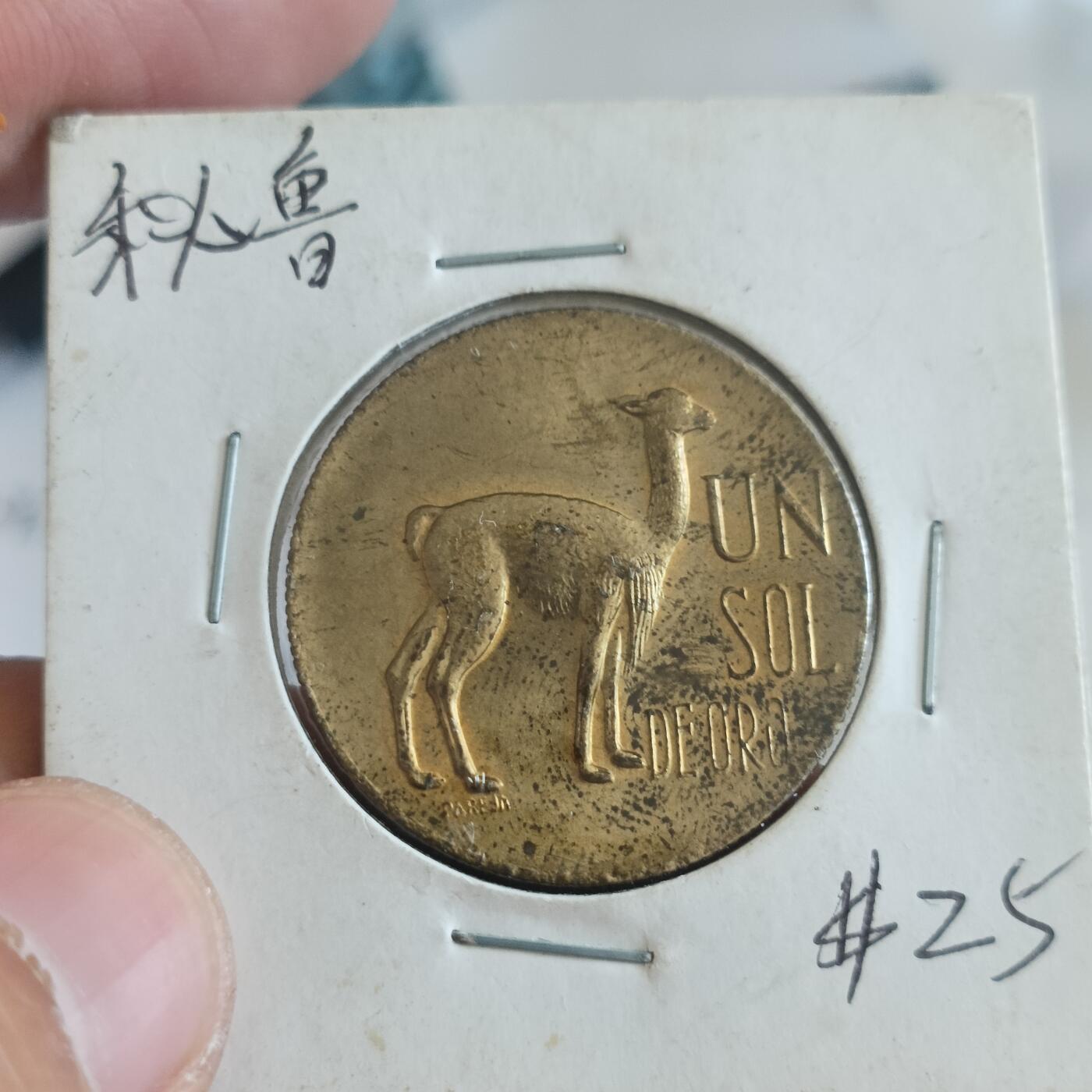 泡泡币外币第四十一场可代拍15038385335微信 秘鲁元光大衣