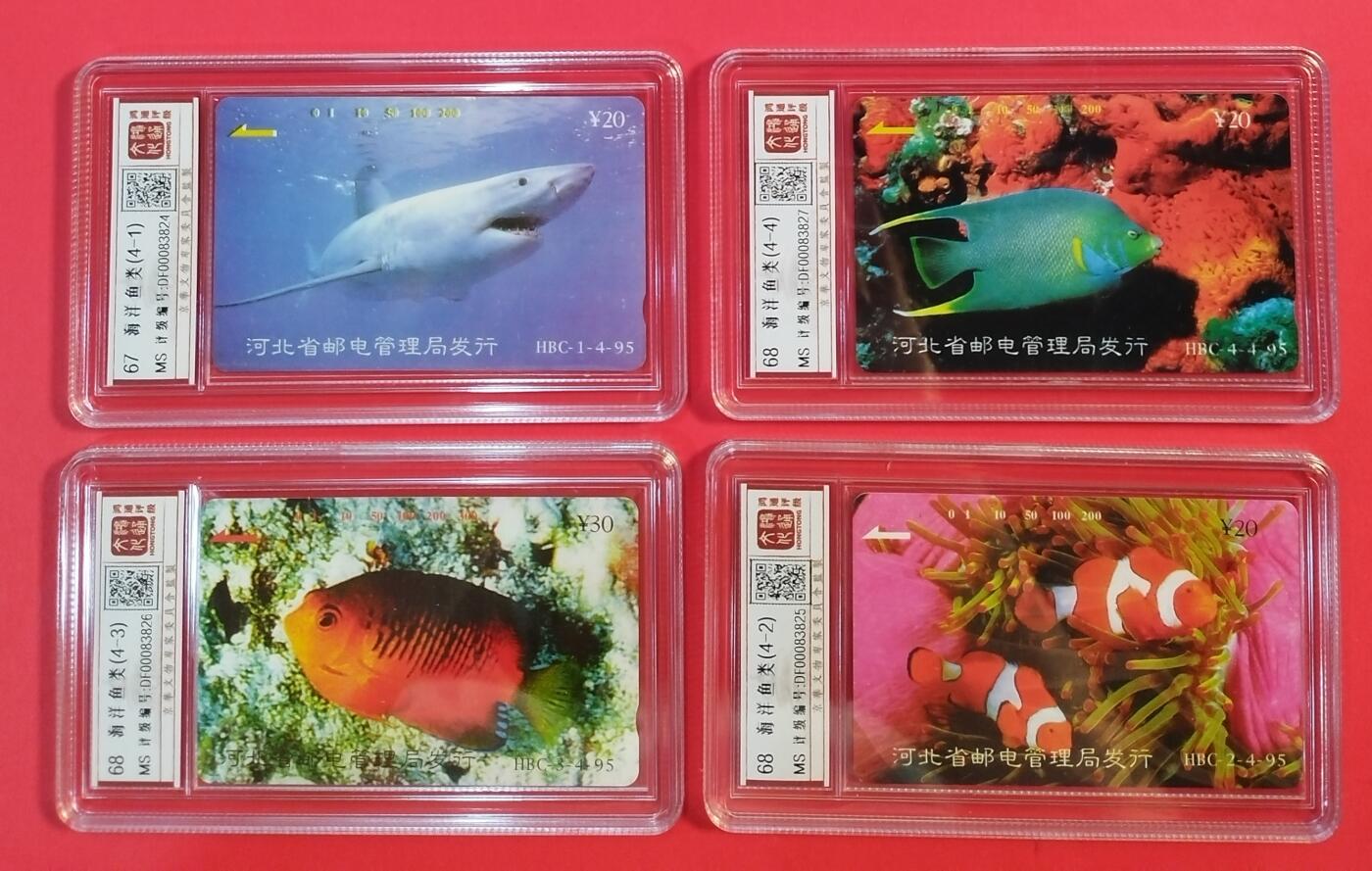 《鸿通俱乐部》拍卖第39期 5月28日21：00延时节拍 田村河北新卡《海洋鱼类》4全 鸿通 68分*3   67分*1