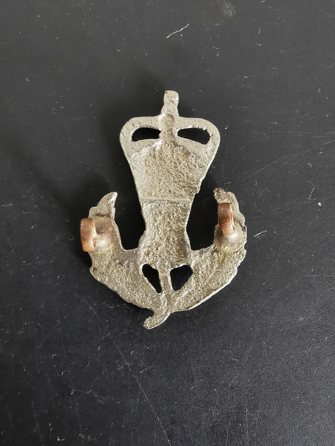 老王徽章第123期