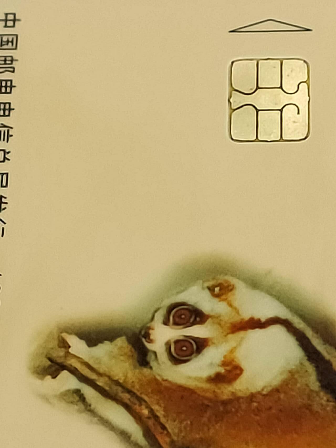 公藏第46期裸卡拍卖 电信IC新卡（建国50周年5全，珍稀动物4全）2套合拍。个别芯片小锈。